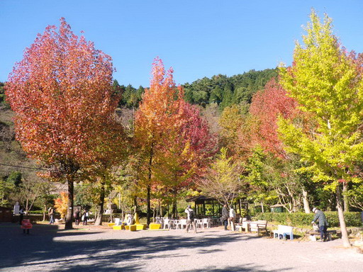 f0000330_1741446.jpg