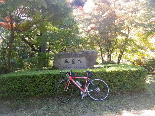 f0000330_1751428.jpg