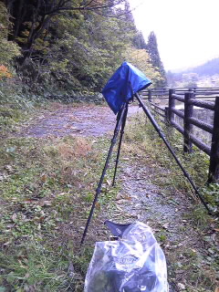 f0118332_14423679.jpg