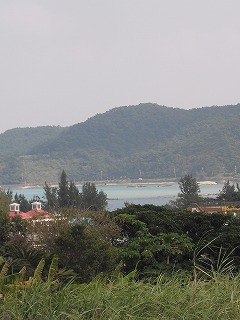 a0153139_21463212.jpg