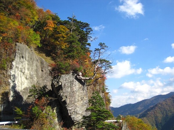 b0149340_18422595.jpg