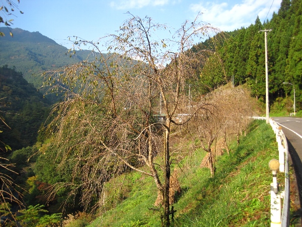 b0149340_18534136.jpg