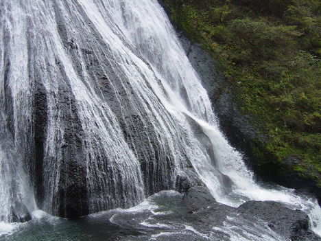 c0186440_2024929.jpg
