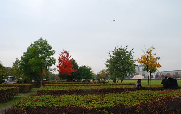 e0098241_1110138.jpg