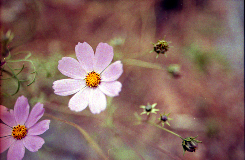 d0074844_0101360.jpg