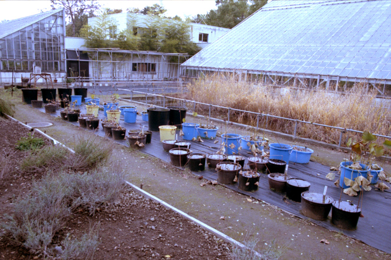 d0074844_010137.jpg