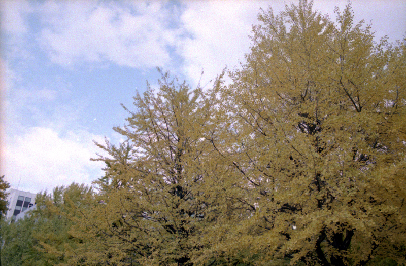 d0074844_0111867.jpg