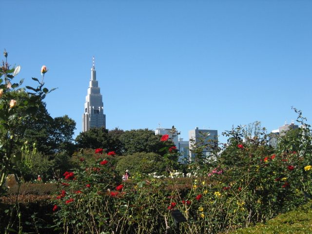 e0082045_11132789.jpg