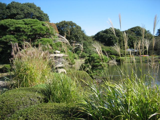 e0082045_1113620.jpg