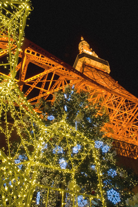 【Photo】 Tokyo Tower クリスマスイルミネーション_c0089950_23174721.jpg