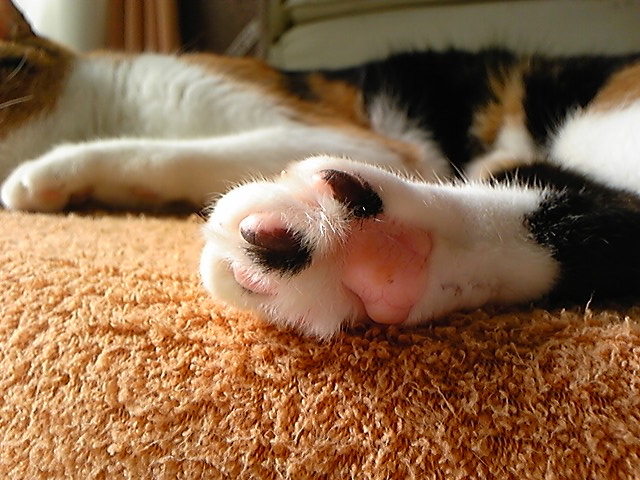d0078350_2113459.jpg