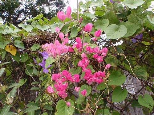 c0180460_21185580.jpg