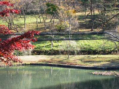 秋のドライブ１　悠久山公園_c0190960_1945830.jpg