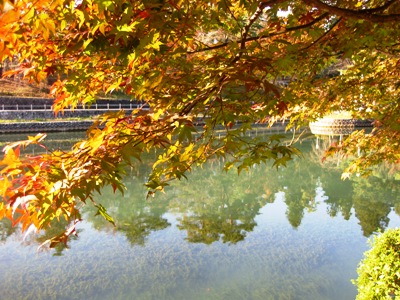 秋のドライブ１　悠久山公園_c0190960_21144571.jpg