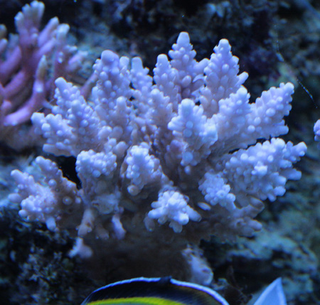 a0162261_2036553.jpg