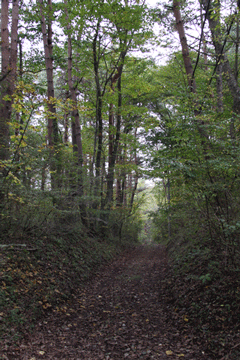 f0107364_12395944.gif