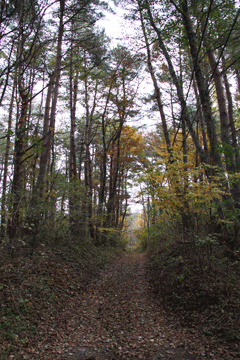 f0107364_12401613.gif
