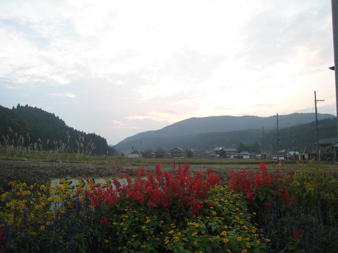 やっぽんぽんの湯_f0205367_19444969.jpg
