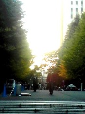 b0134673_22810100.jpg
