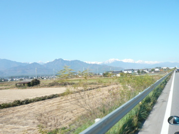 b0141878_1735174.jpg