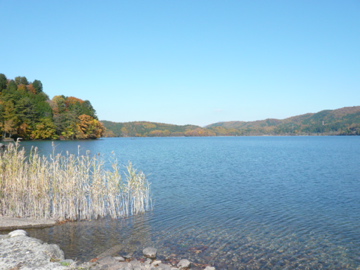 b0141878_173881.jpg