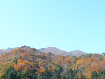 b0141878_17394562.jpg