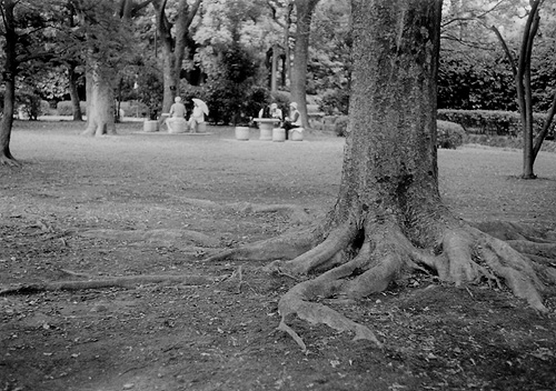 ◆北の丸公園休日のひと時 ~FUJICA 35 ML(1958)_e0174382_14362364.jpg