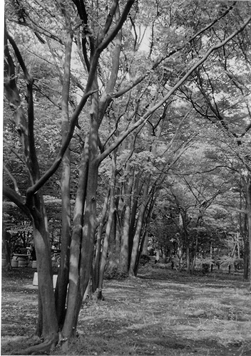 ◆北の丸公園休日のひと時 ~FUJICA 35 ML(1958)_e0174382_14375451.jpg