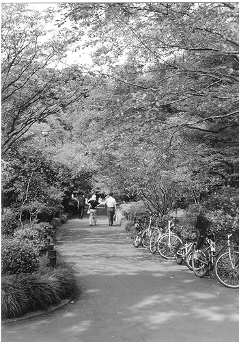 ◆北の丸公園休日のひと時 ~FUJICA 35 ML(1958)_e0174382_14381229.jpg