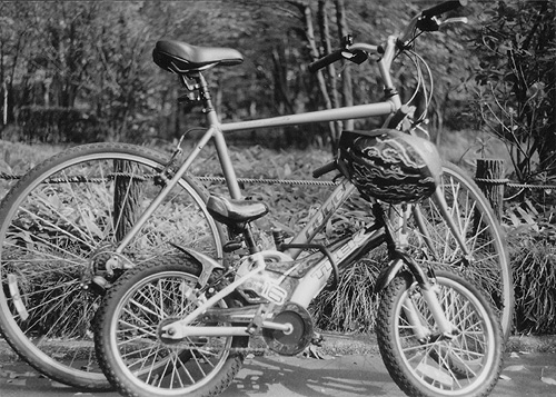 ◆北の丸公園休日のひと時 ~FUJICA 35 ML(1958)_e0174382_1438337.jpg