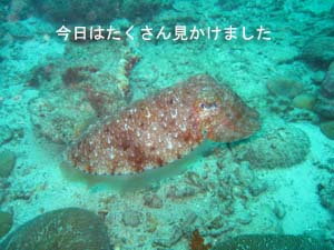 大きいのいるかな??_f0144385_2337223.jpg