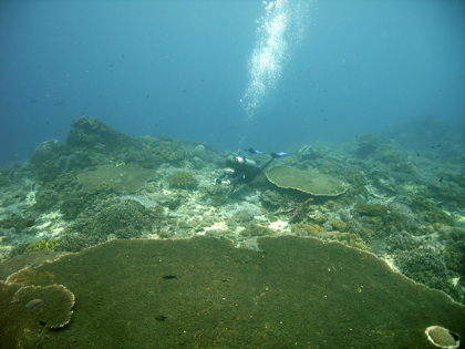 バリ島ツアー_b0146490_1855624.jpg