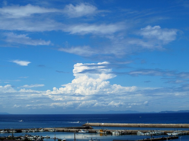 a0156791_1534444.jpg