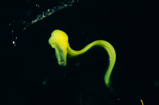 e0064291_935276.jpg