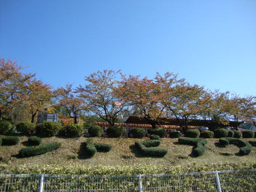 f0000091_9482332.jpg
