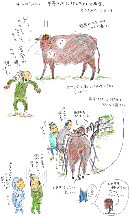 f0236291_1043233.gif