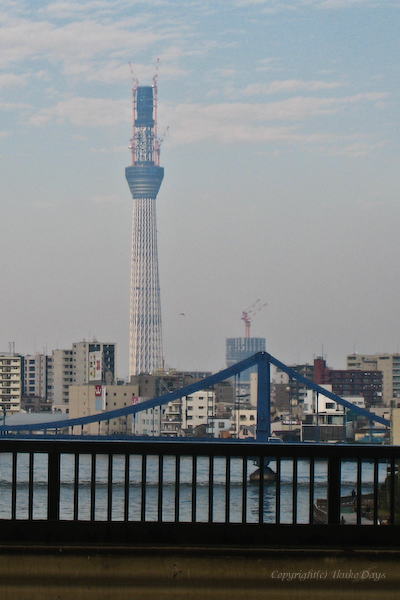 d0114093_2442230.jpg