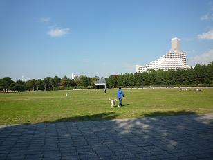 b0204695_1773951.jpg