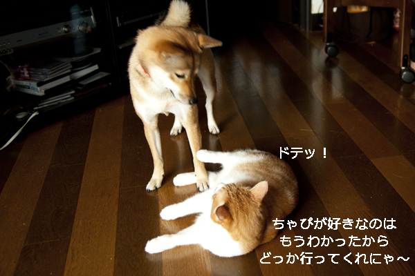 b0141397_1172741.jpg