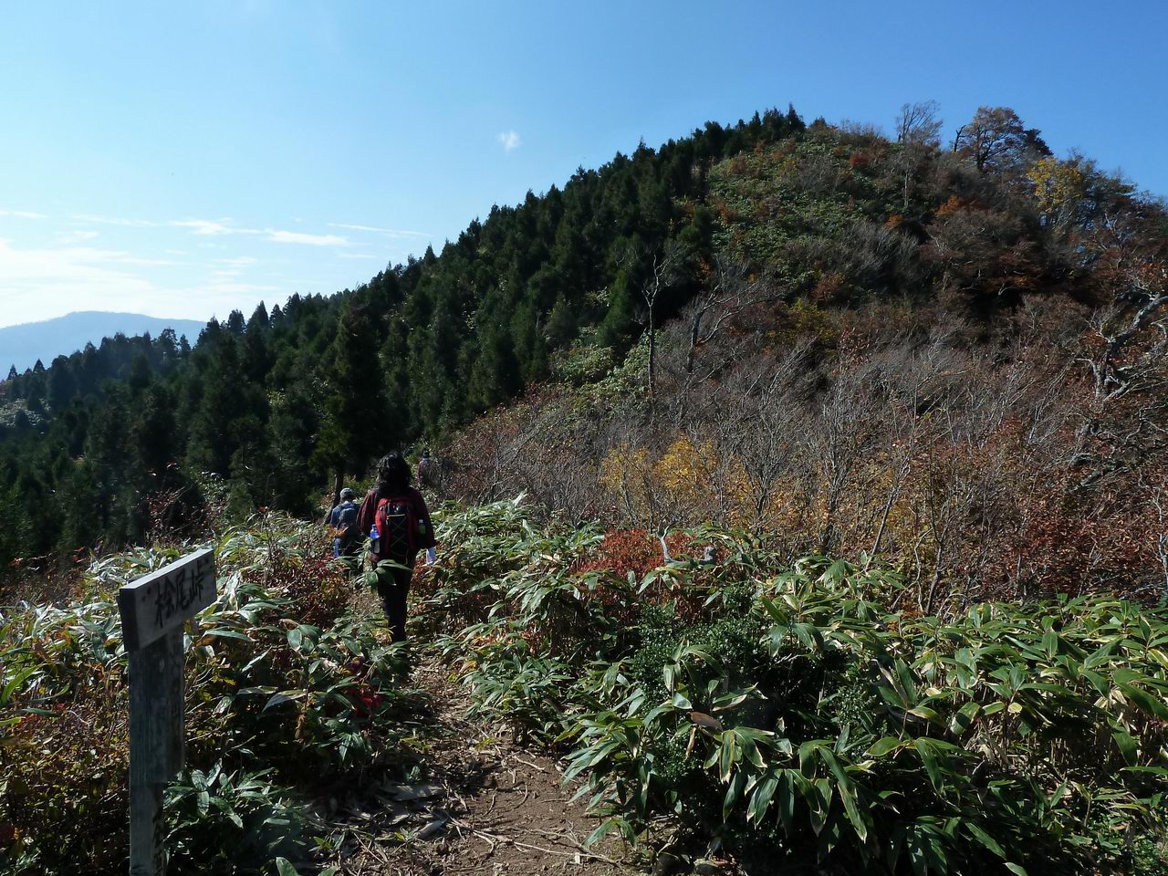 美濃と越前の国境の山－金草岳_e0110500_0222452.jpg