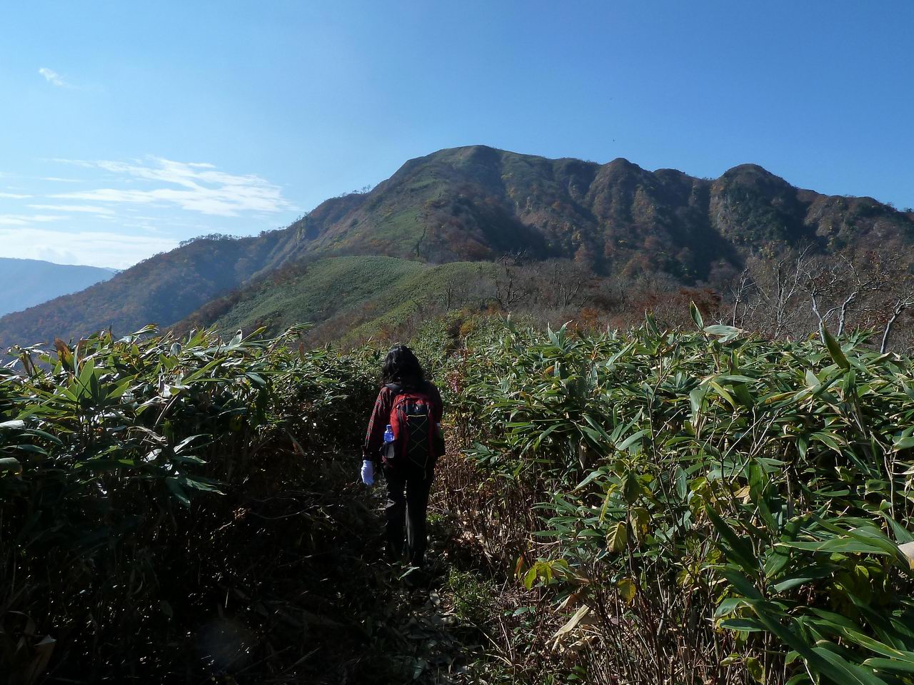 美濃と越前の国境の山－金草岳_e0110500_023067.jpg