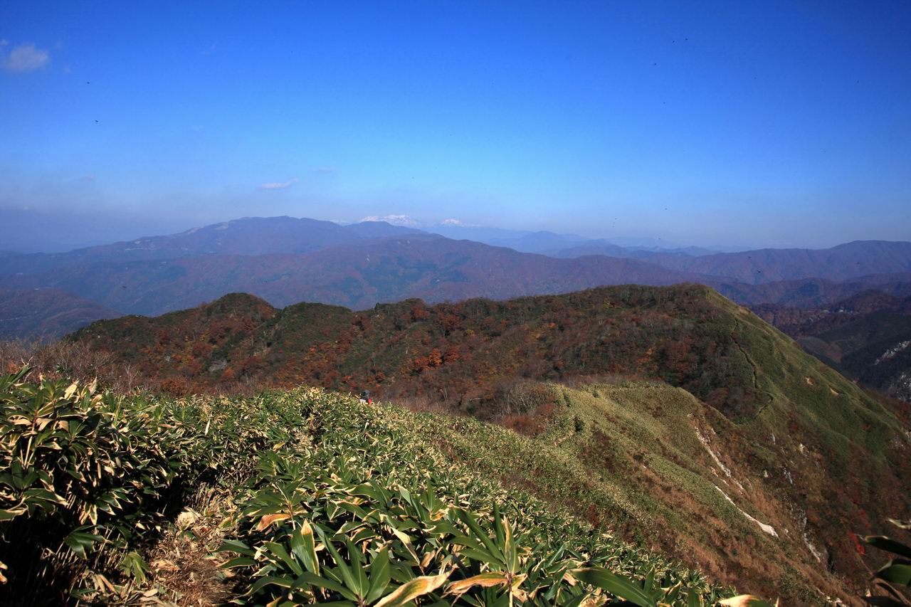 美濃と越前の国境の山－金草岳_e0110500_10068.jpg