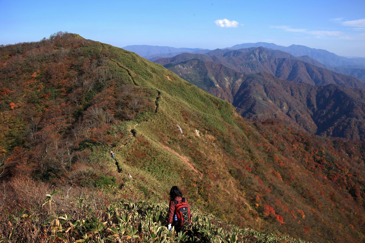 美濃と越前の国境の山－金草岳_e0110500_1195987.jpg