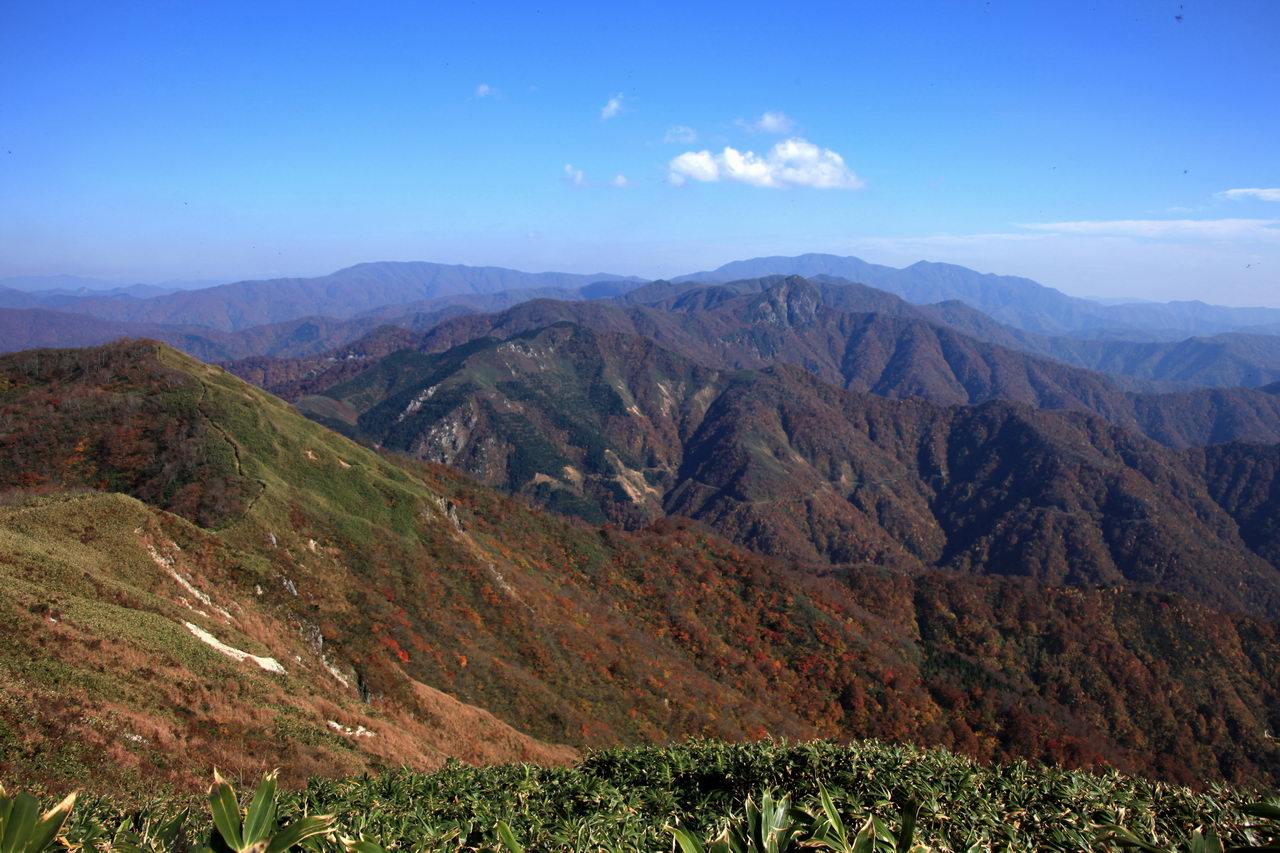 美濃と越前の国境の山－金草岳_e0110500_12129.jpg