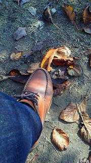 c0215403_8421648.jpg