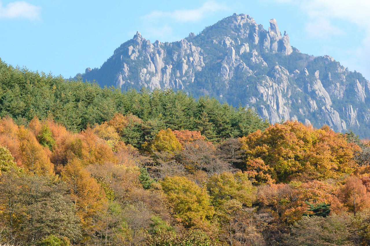 瑞牆山 （みずがきやま）_e0080303_958145.jpg