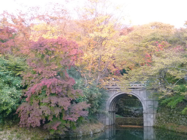 2010年慶州・釜山の旅　①　仏国寺_a0140305_0473283.jpg