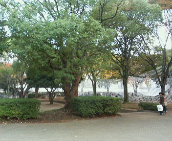e0123206_11384498.jpg