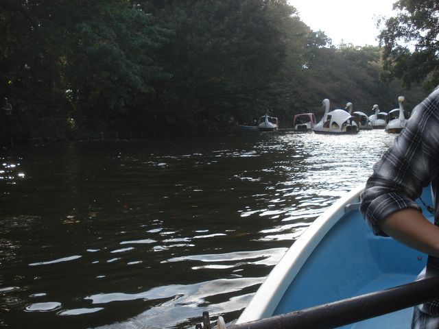 f0084806_812710.jpg