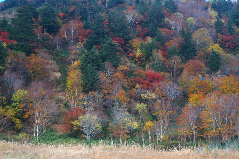 極上の紅葉を味わう旅　岩手３_d0113707_1462126.jpg